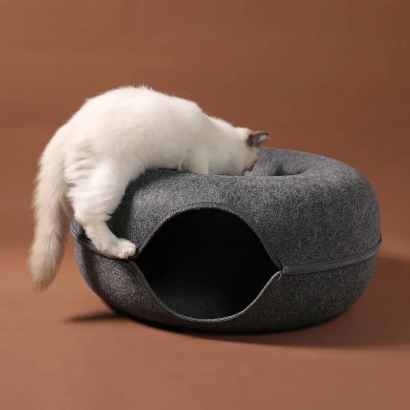 Donut Katzen Tunnel